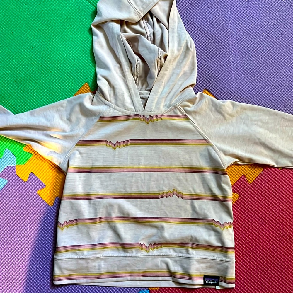 Patagonia Capilene Hooded Shirt
